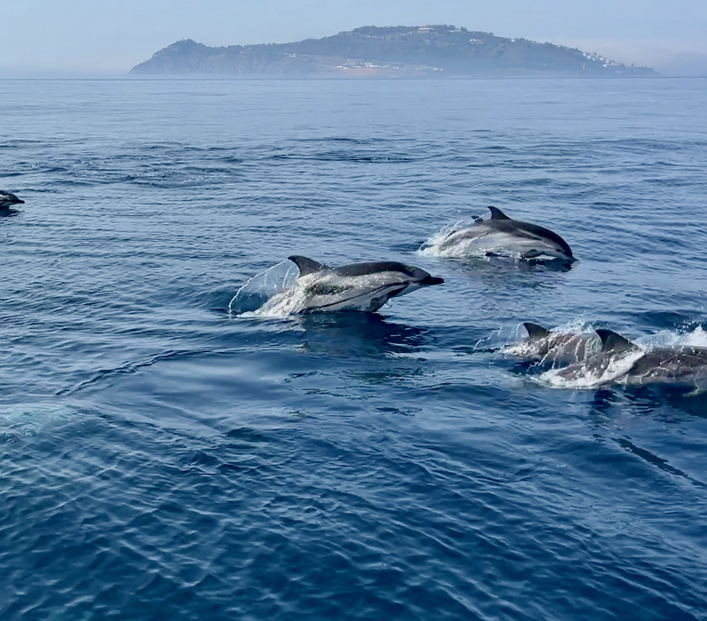 Ceuta (Africa)